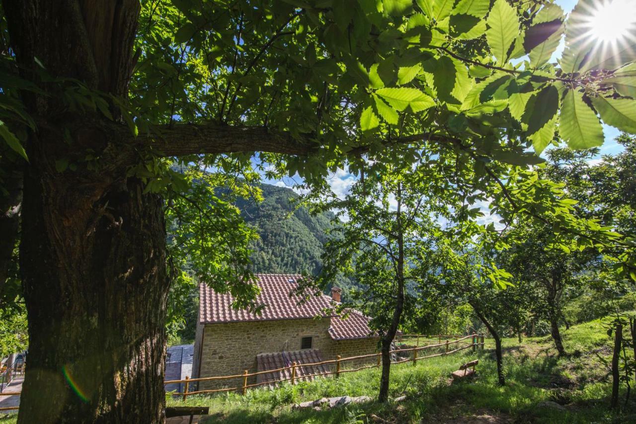 Antichi Sentieri Apartment Serravalle  Exterior photo